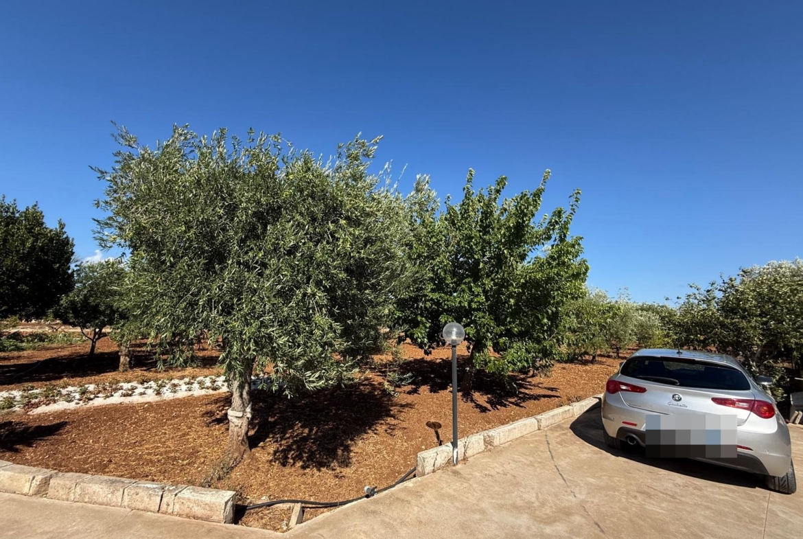 1170